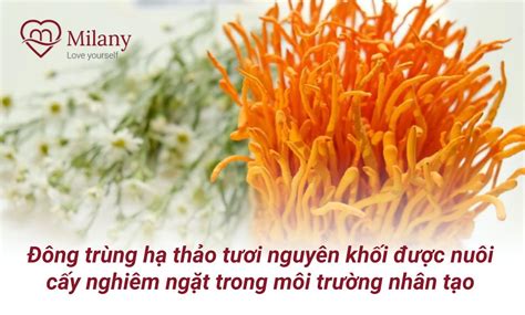  Tương Phàn: Món Ăn Tươi Ngọt Khơi Dậy Lòng Say Sưa!